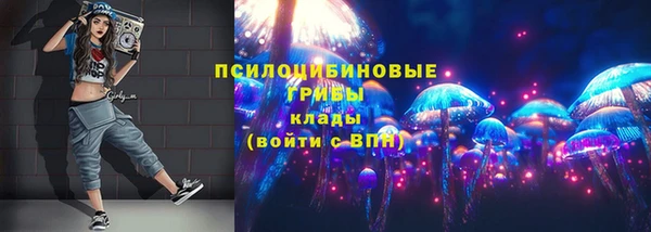2c-b Лагань