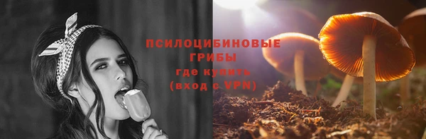 2c-b Лагань