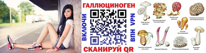 Купить закладки  Котельнич  Галлюциногенные грибы Cubensis 